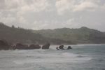 Surfing Soup Bowl Barbados (2)