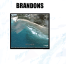 Surf Brandons Barbados