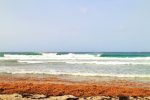 Surfing Brandons Barbados (13)